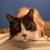 Alan Miller :verified_paw: 🇺🇦's avatar