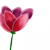 @Edelruth@mastodon.online