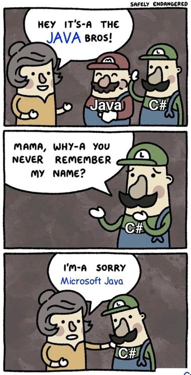 An edited three panel comic by safely endangered.

In the first panel the Mario Bros meet their mother. Mario is named Java and Luigi is called C#. The mother eclaims „Hey it‘s-a the Java Bros.“

In the second panel Luigi/C# asks sadly „Mama, why-a you never remember my name?“

In the third panel the mother put‘s their hand on the shoulder of Luigi/C# and says „I‘m-a sorry Microsoft Java.“