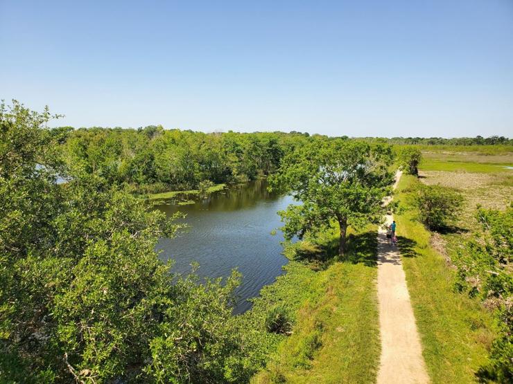 A lake is visible on the left side. The water is clear, and reflects the sunlight. Ripples on the surface are visible, indicating motion across the water. On the right is an open field of grass and flowers. A dirt trail goes between them. Several tall trees are visible. Everything is very lush and green.