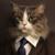 John Scalzi's avatar