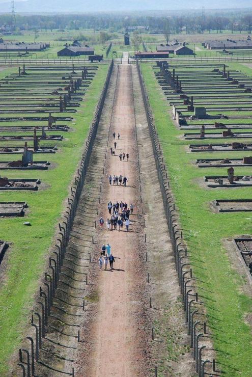 A bird's-eye view of a former Auschwitz II-Birkenau camp showing a wide dirt pathway flanked by parallel rows of barbed-wire fences. Groups of visitors walk along the path, surrounded by the remnants of brick structures and barracks, now reduced to foundations. Green grass contrasts with the somber history of the site, as the path leads toward a guard tower in the distance. 