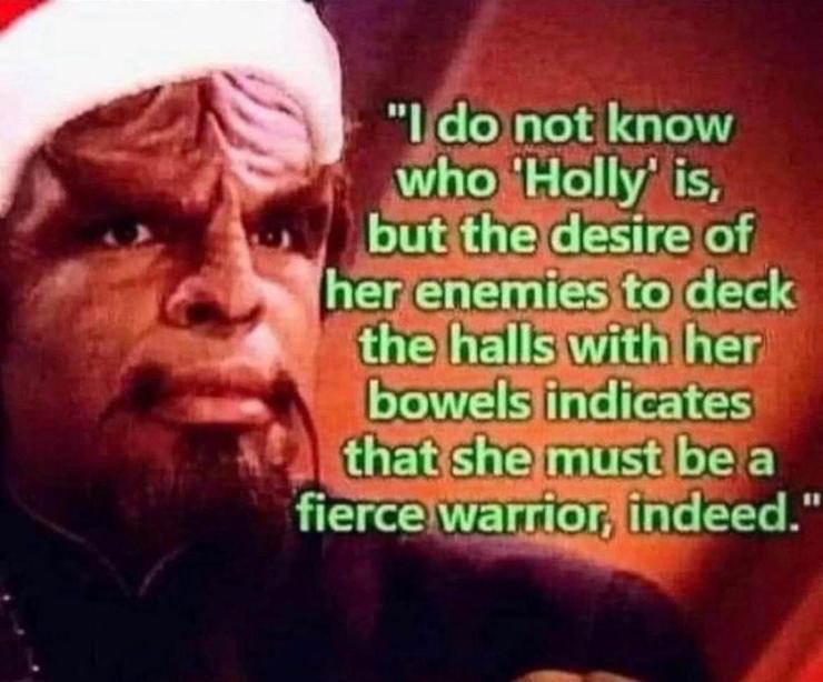 Fake inspirational quote of Worf in a Santa hat saying, "I do not know who Holly is, but the desire of her enemies to deck the halls with her bowels indicates that she must be a fierce warrior, indeed."