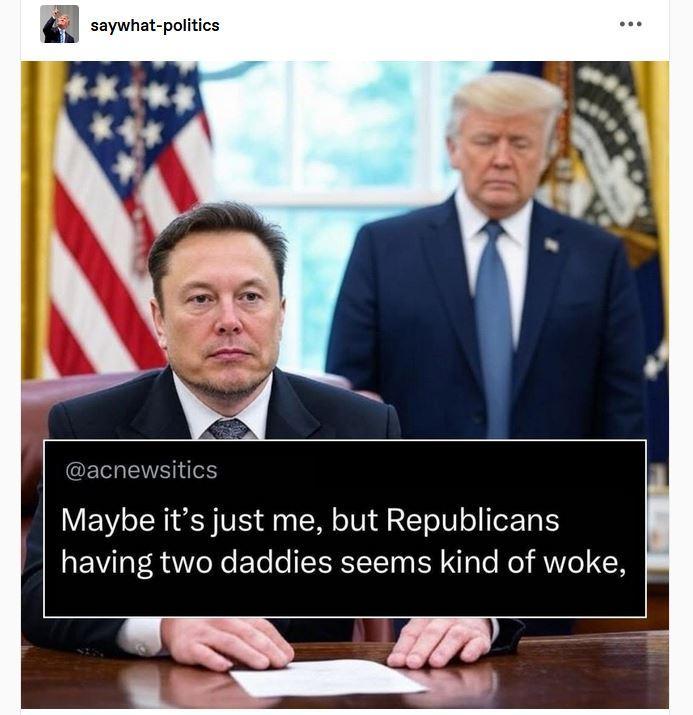Post by say what-politics and @acnewsitics
"Maybe it’s just me, but Republicans having two daddies seems kind of woke/"
