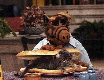 Alien ALF with a cat sandwich.