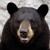 @riggbeck@mastodon.social