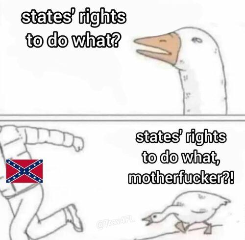 Two panel comic:
panel 1: a goose asks "state's rights to do what?"
panel 2: the same good chases a person with a confederate flag while honking "state's rights to do what, motherfucker?"