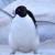 Badtux the Snarky Penguin's avatar