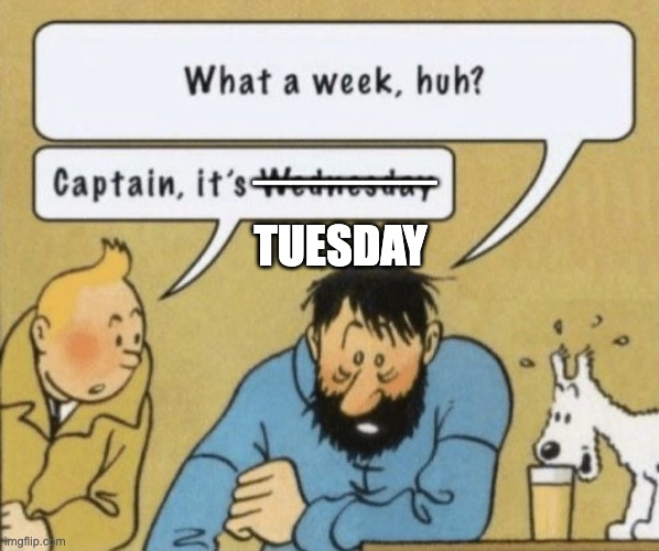 single panel from the adventures of tintin comic.

A scruffy captain Haddock sits at a table and says "What a week, huh?" Tintin sits next to him and replies "Captain, it's Wednesday." Except the word Wednesday is struck through and replaced with Tuesday .