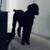 @eilonwy@mstdn.social