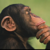 @AnnaAnthro@mastodon.social