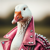 SekhmetDesign's avatar