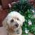 readermom's avatar