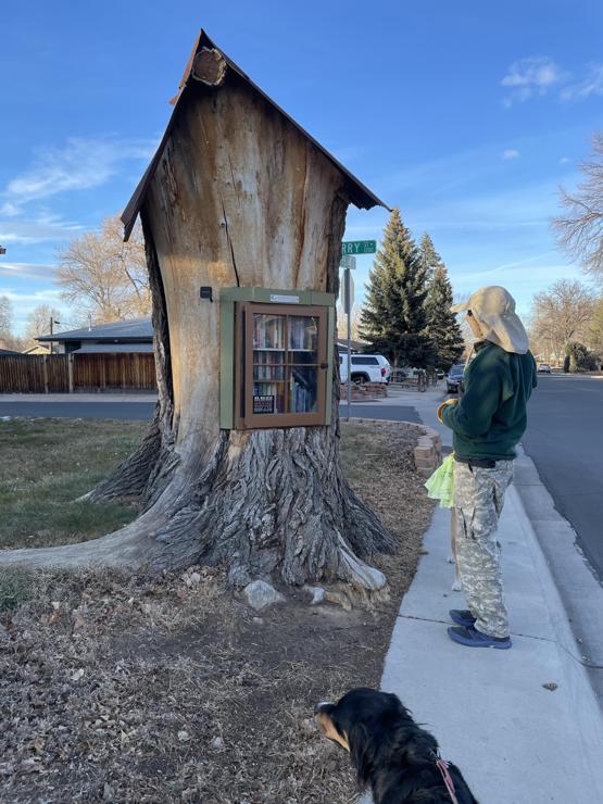 A cupboard with a glass door, filled with books, set into a large tree stump. The stump is maybe three feet wide and eight feet tall. It has a sharply peaked roof on top to protect the books from rain and snow.