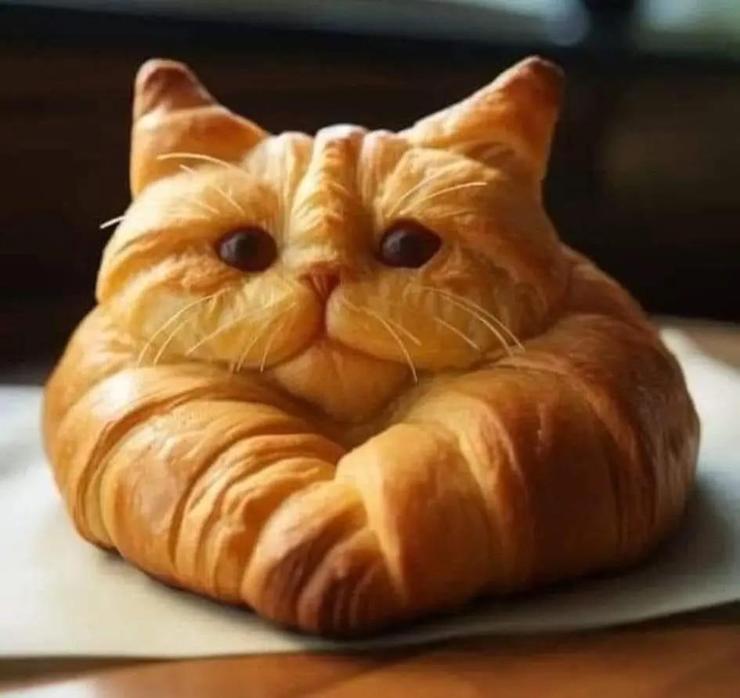 Foto di brioche con musetto di gatto 🥐